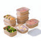 Biodegradable Kraft Rectangular Containers