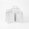 White Flat Handle Bags