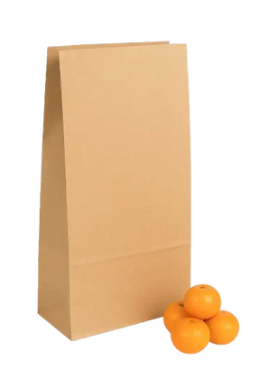 Extra Large - Block Bottom SOS Bag 10.2x5.1x15.9" - CATERWISE Uncategorized (Image 1)