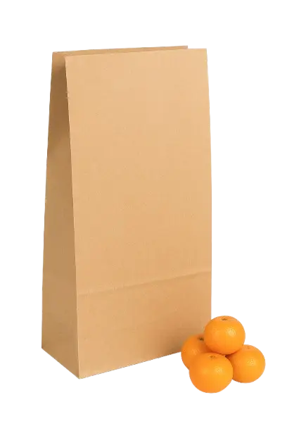 Extra Large - Block Bottom SOS Bag 10.2x5.1x15.9" - CATERWISE Uncategorized (Image 1)