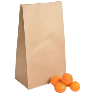 Large (Standard / 21lb) - Block Bottom SOS Bag by CATERWISE