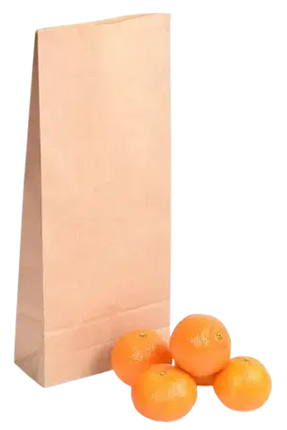 Brown paper bag with oranges on a white background