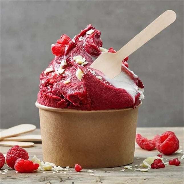 Biodegradable Ice Cream Spade - CATERWISE Uncategorized (Image 2)