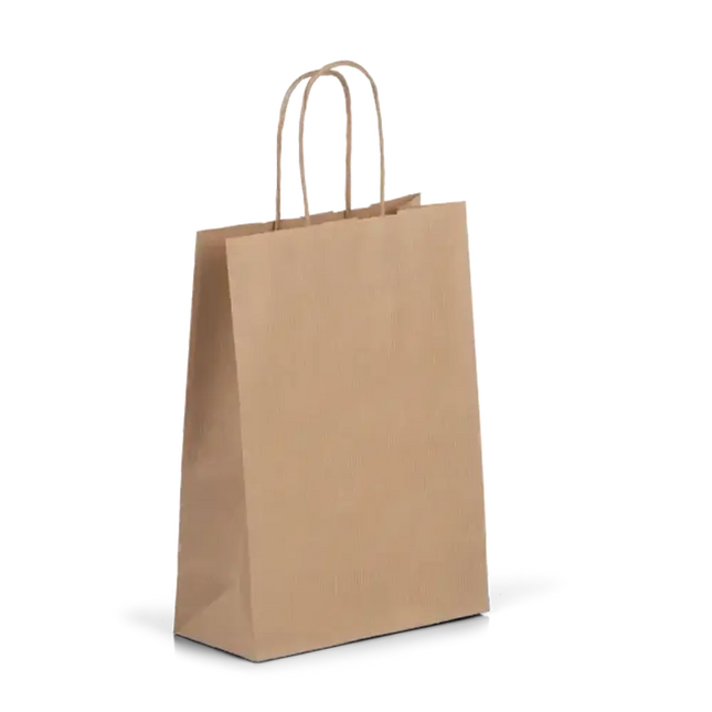 Large - Twisted Handle Kraft Bag - CATERWISE Uncategorized (Image 1)