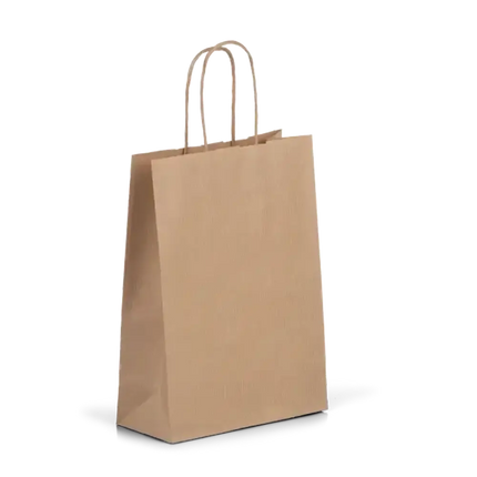 Medium - Twisted Handle Kraft Bag - CATERWISE Uncategorized (Image 1)